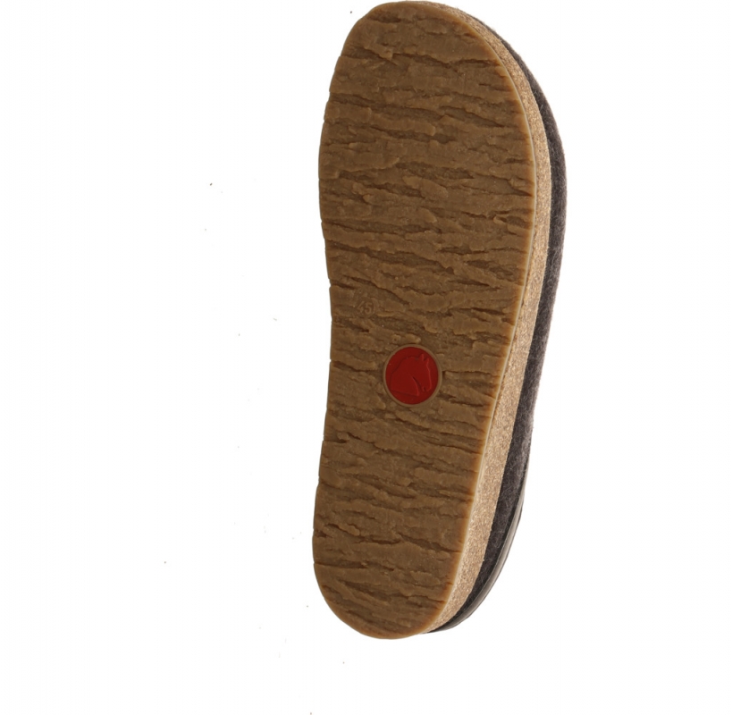 Haflinger Grizzly Torben