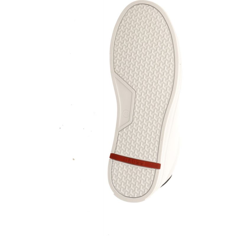 Lloyd Enrico White/Navy