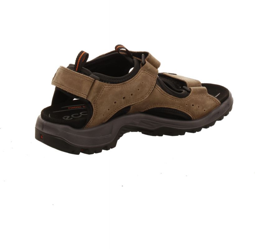 Ecco Offroad Andes II Men