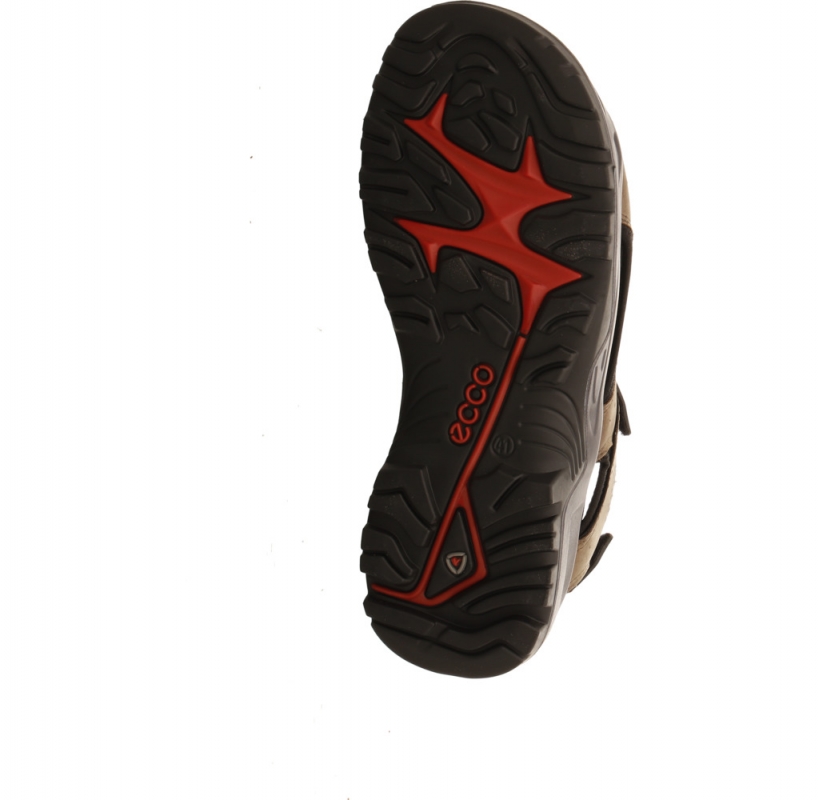 Ecco Offroad Andes II Men