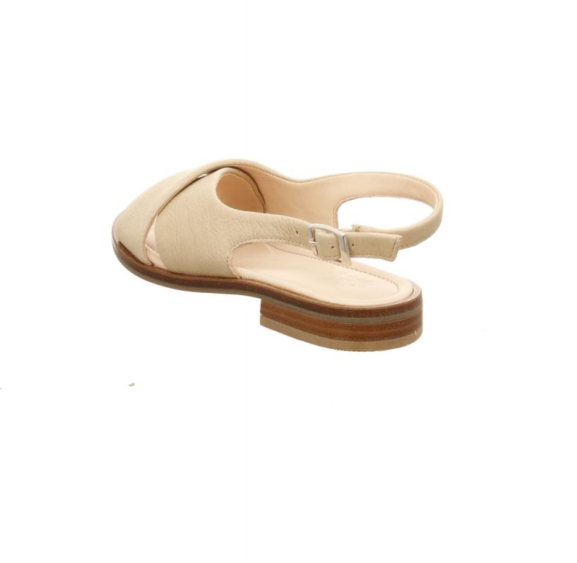 Werner Surfinia beige