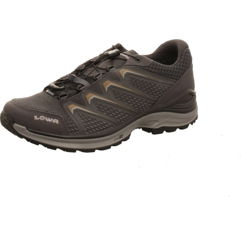 Lowa Meadow GTX Lo SL Men