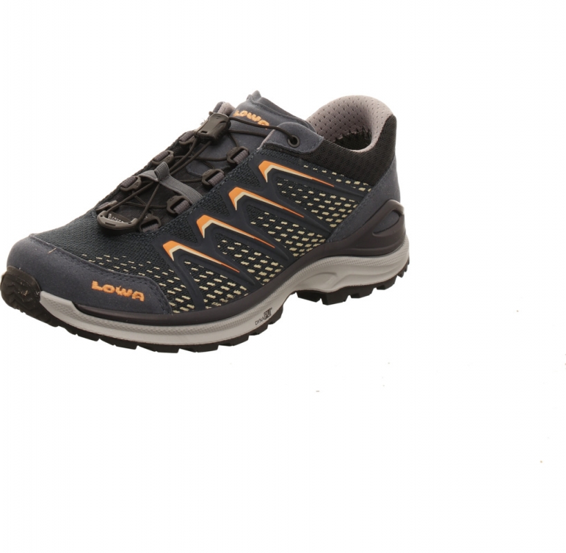Lowa Meadow GTX Lo SL Lady