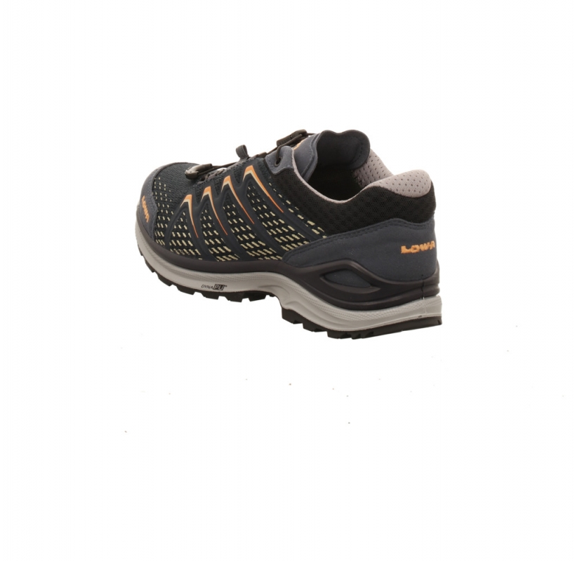 Lowa Meadow GTX Lo SL Lady