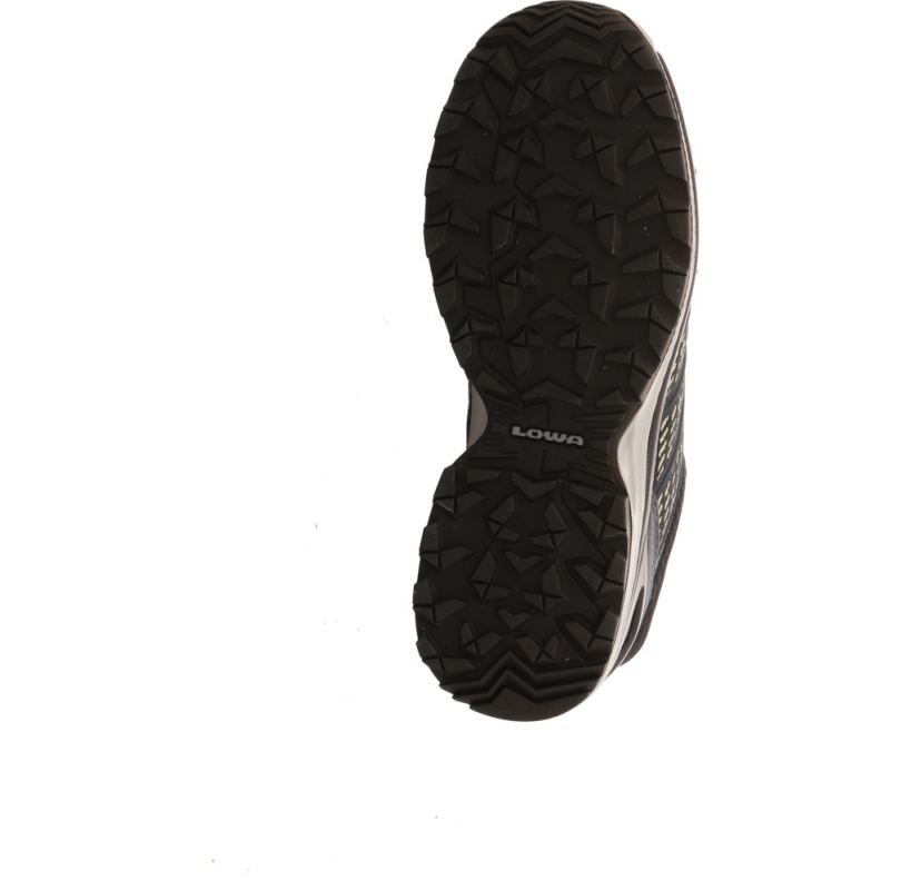 Lowa Meadow GTX Lo SL Lady