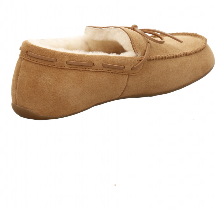 Haflinger Yumah