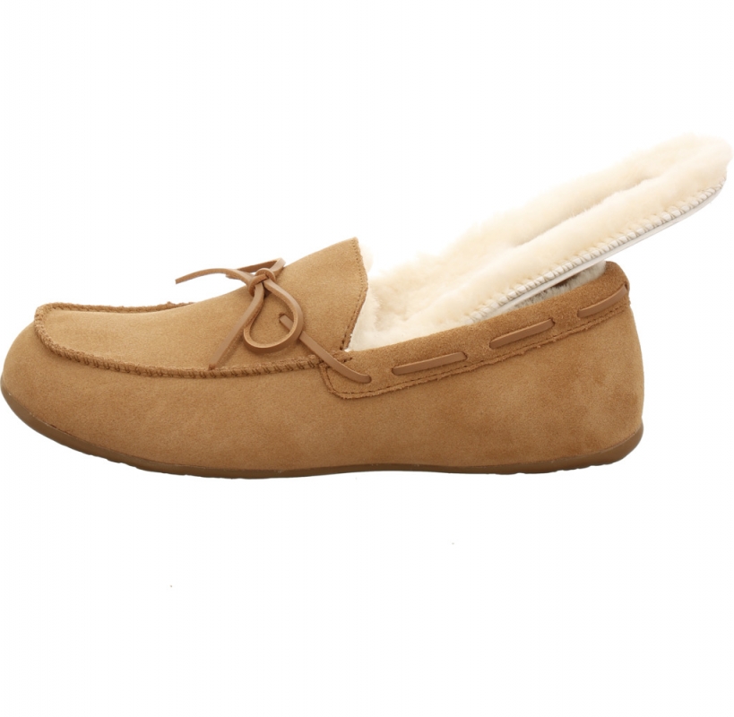 Haflinger Yumah