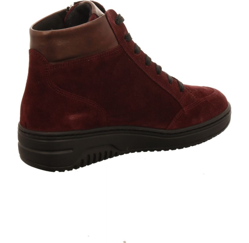 Hartjes 172 1707/36 bordo