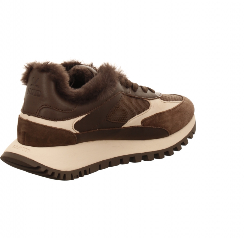 Lloyd 25 206 57 braun