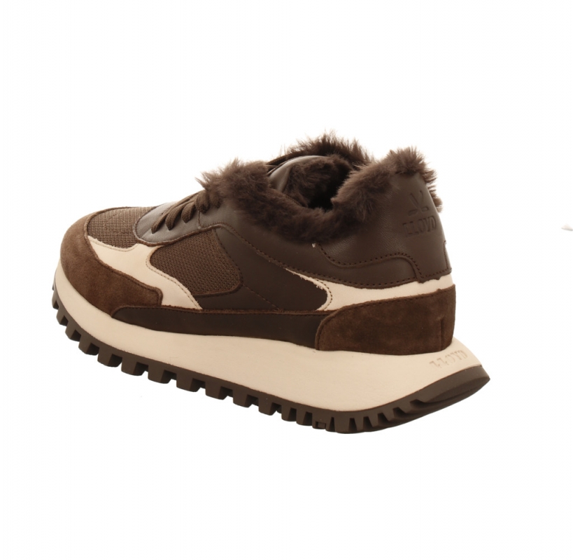 Lloyd 25 206 57 braun