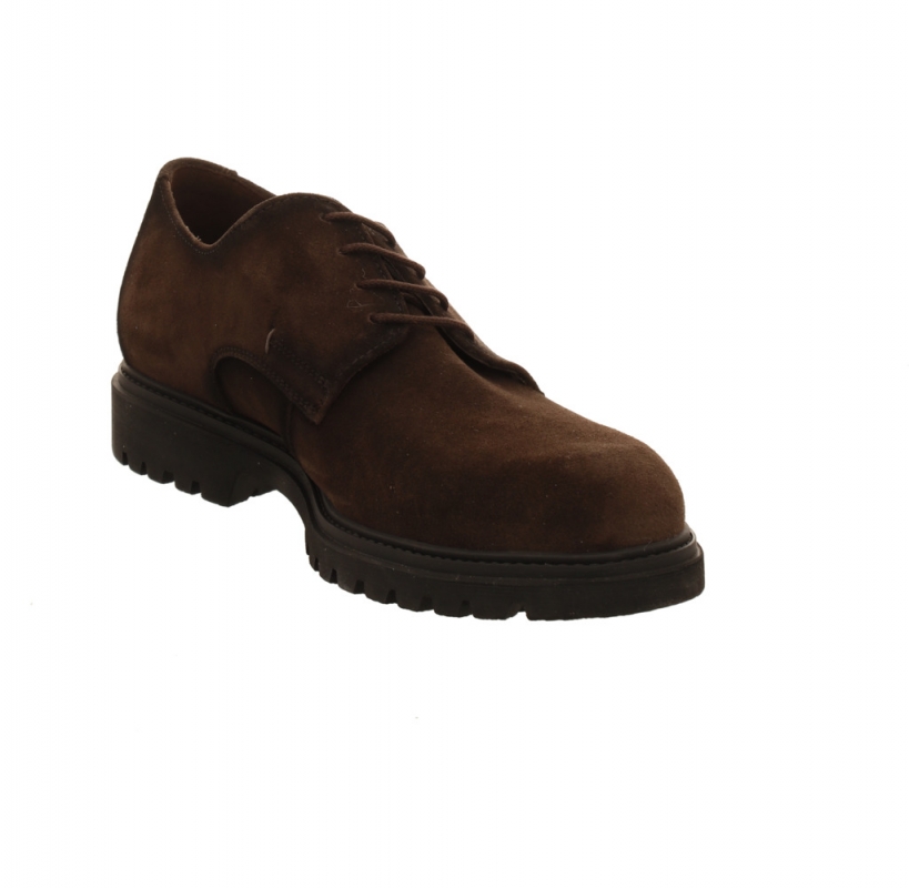 Lloyd Select GTX