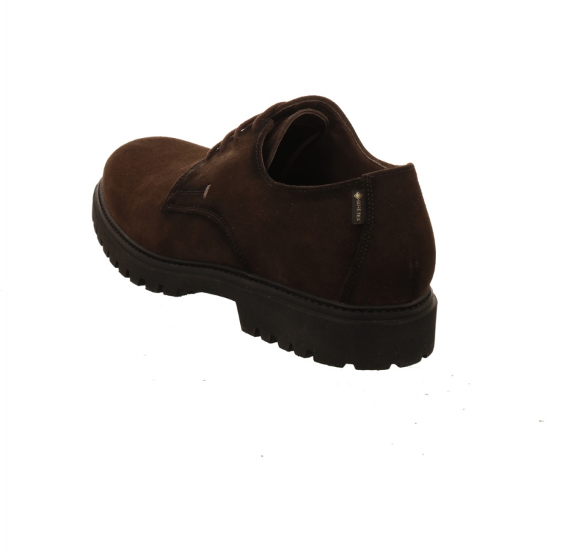 Lloyd Select GTX