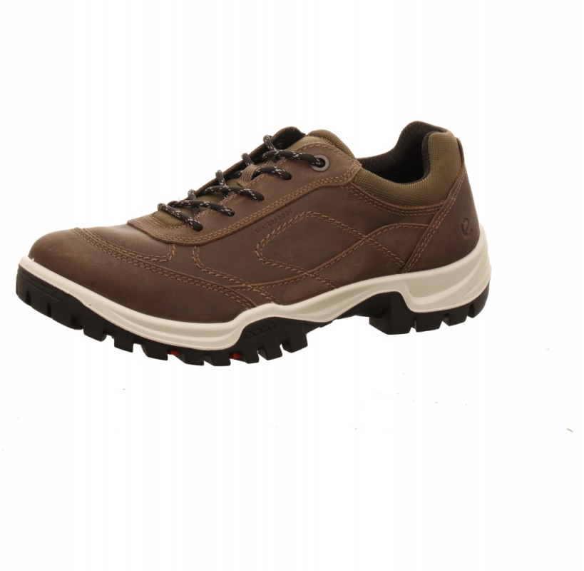 Ecco Xpedition III Shoe