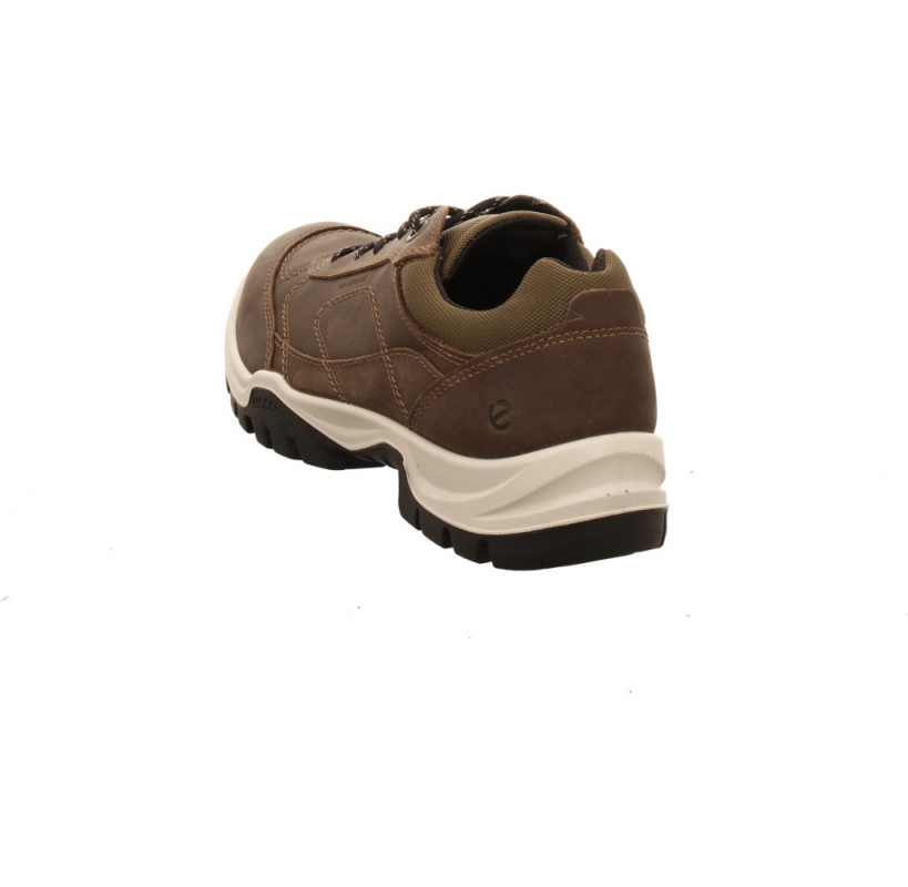Ecco Xpedition III Shoe