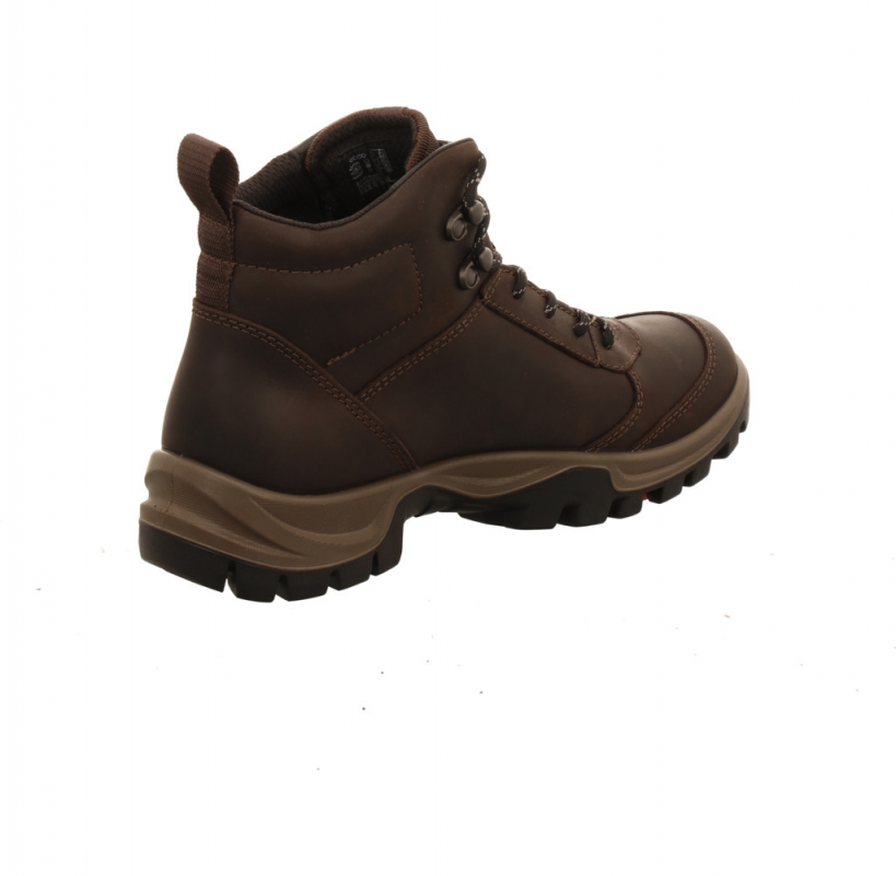 Ecco Xpedition III WP Boot