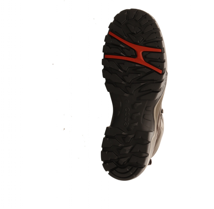 Ecco Xpedition III WP Boot