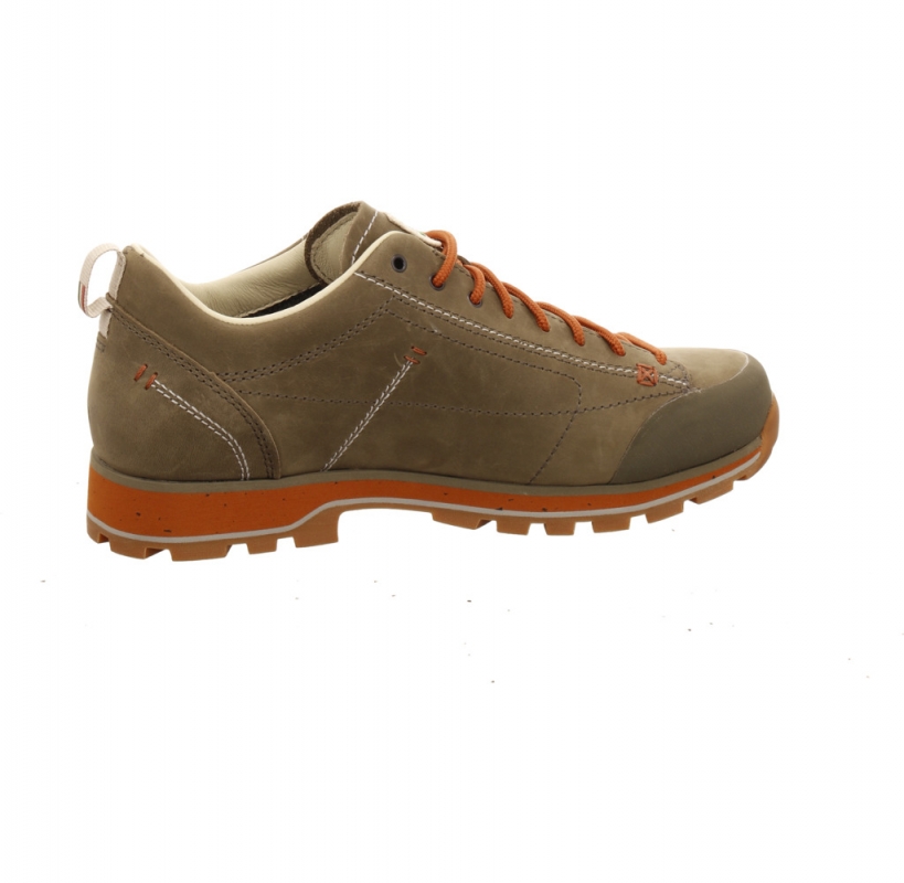 Dolomite 54 Low Fg EVO GTX Men grün