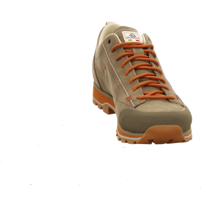 Dolomite 54 Low Fg EVO GTX Men grün