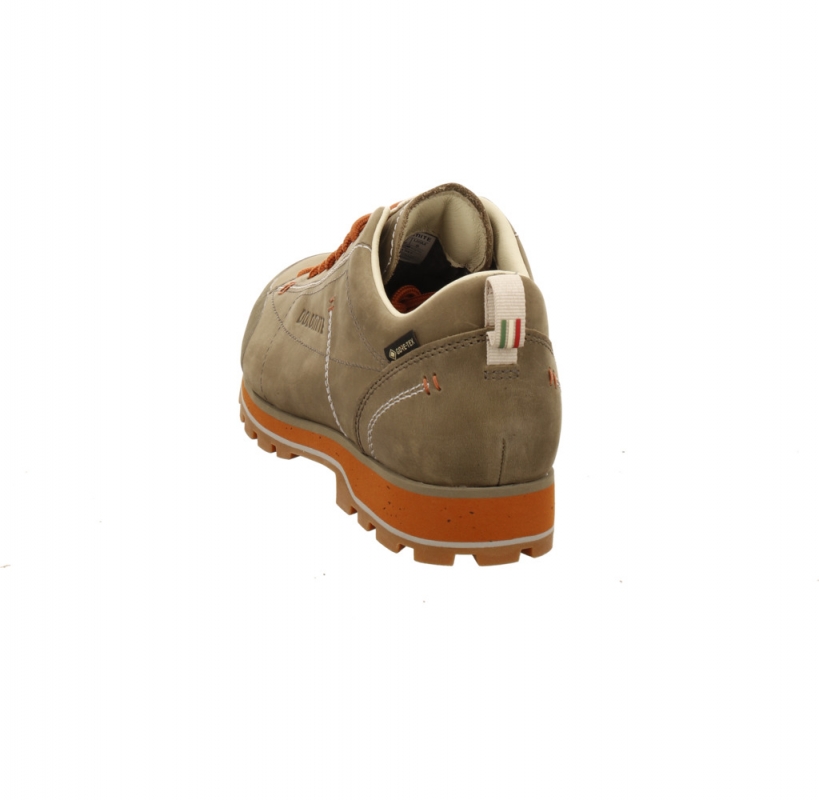 Dolomite 54 Low Fg EVO GTX Men grün