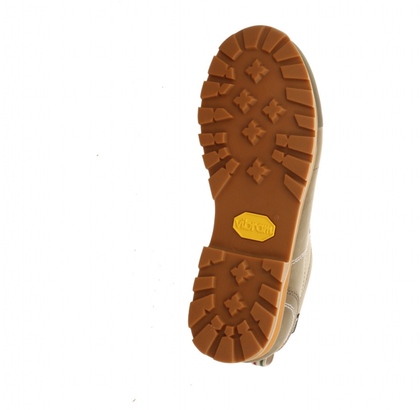 Dolomite 54 Low Fg EVO GTX Men grün