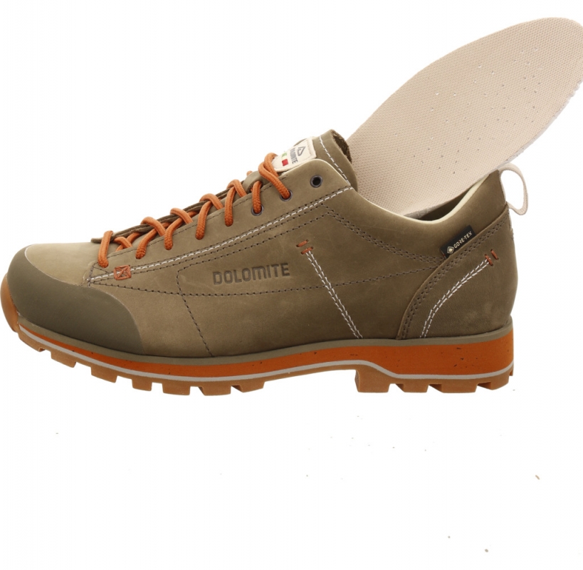 Dolomite 54 Low Fg EVO GTX Men grün