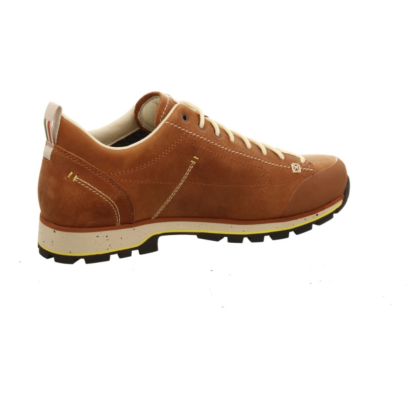 Dolomite 54 Low Fg EVO GTX Men braun