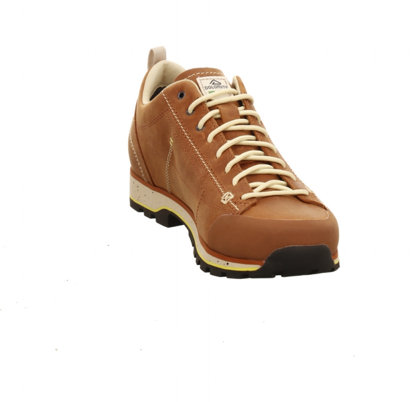Dolomite 54 Low Fg EVO GTX Men braun