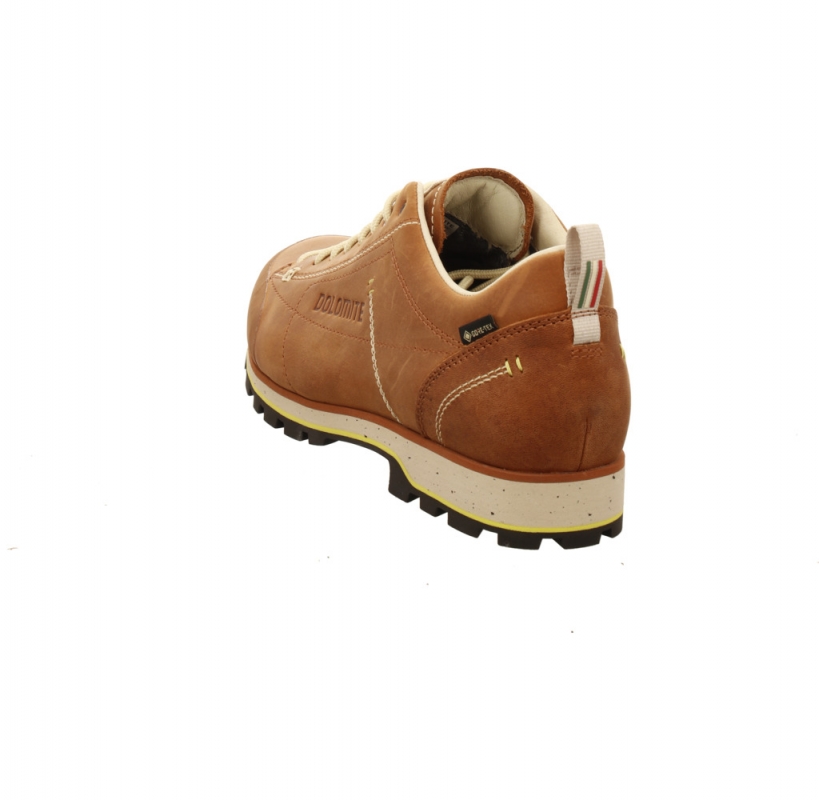Dolomite 54 Low Fg EVO GTX Men braun