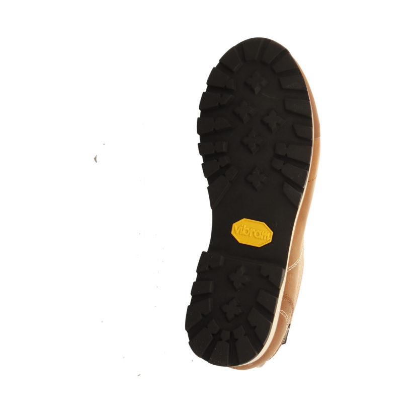 Dolomite 54 Low Fg EVO GTX Men braun
