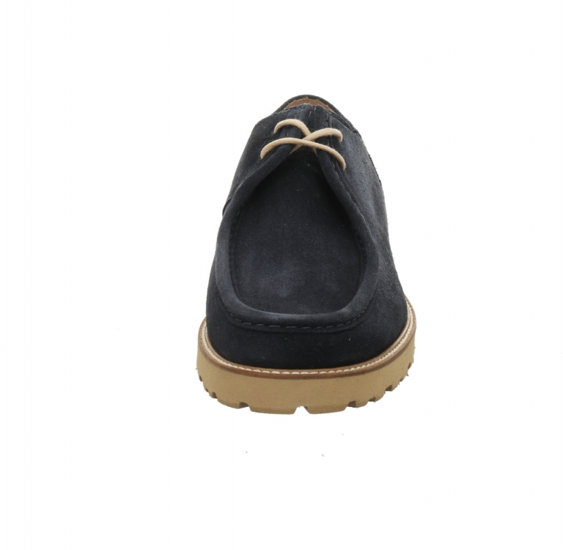 Franz Gustav Schönwald Feldberg blau