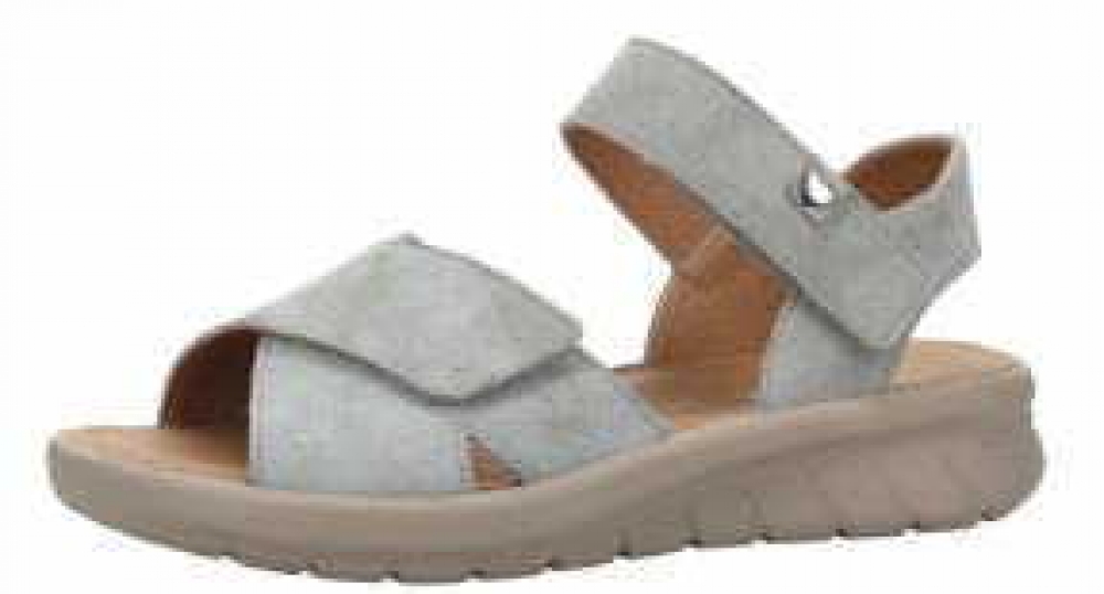 Hartjes 132 1801/43 schilf