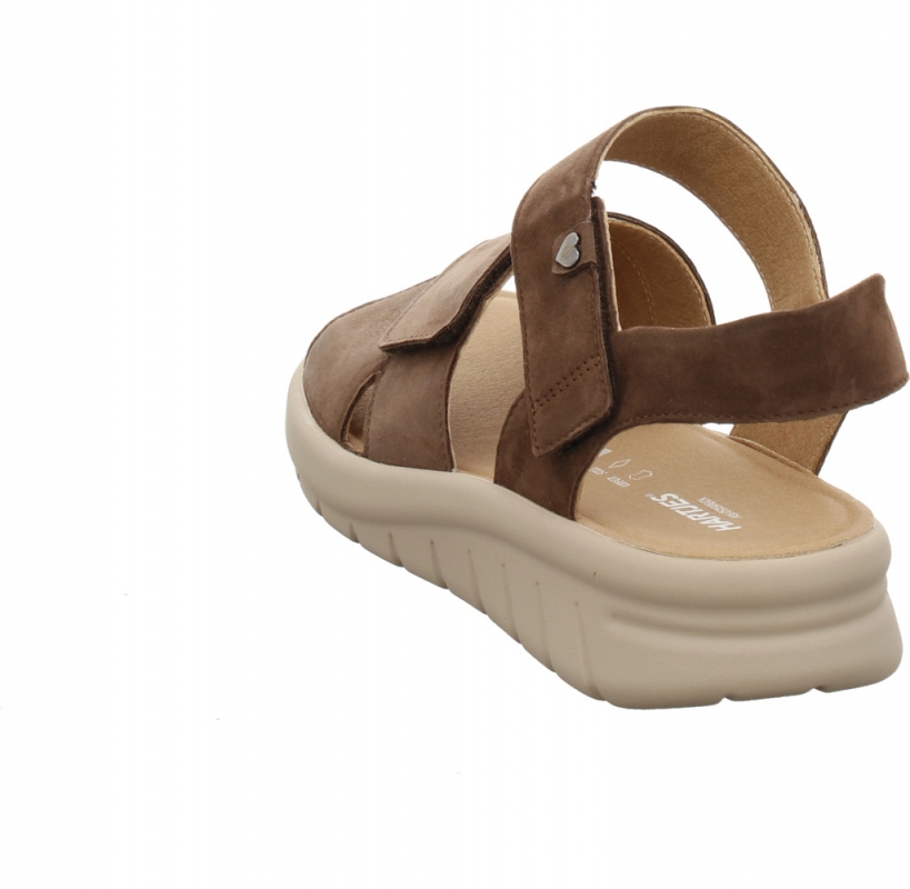 Hartjes 132 1801/43 dunkelbraun