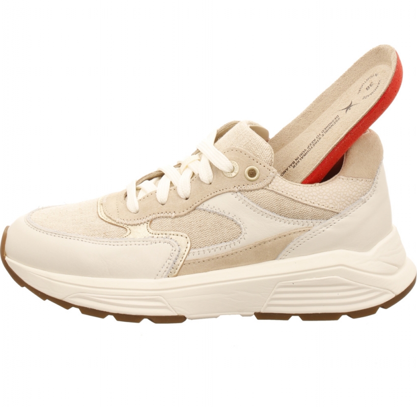 Xsensible 33002.5 Ponte Vecchio