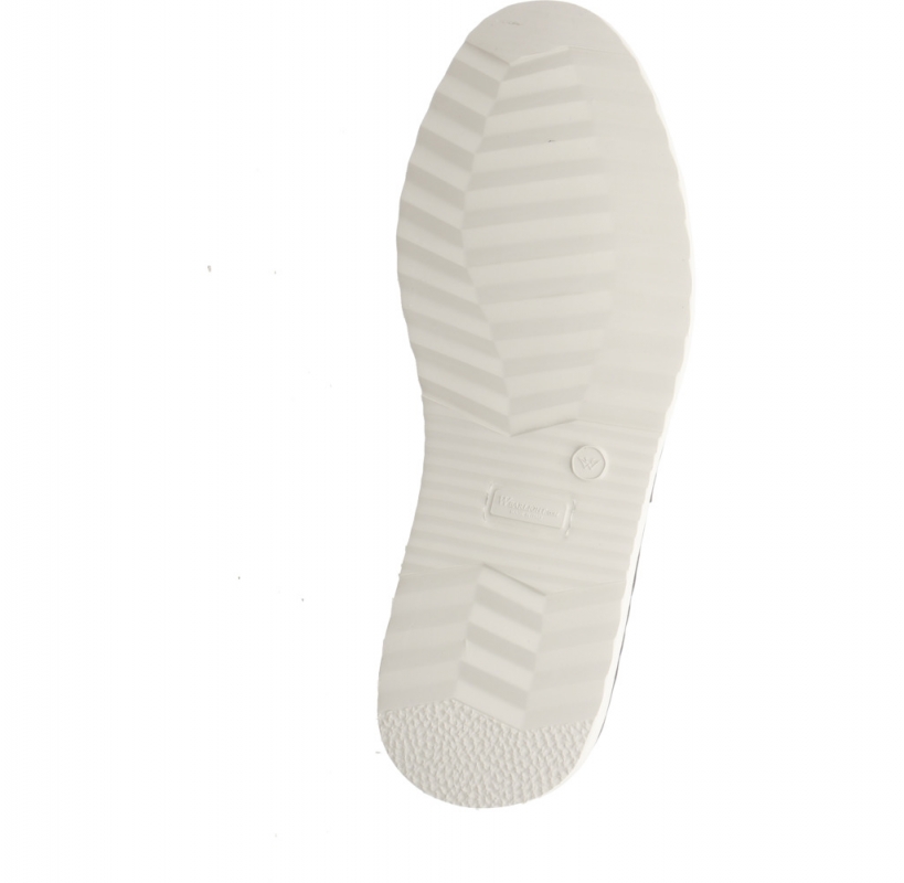 Galizio Torresi 610360