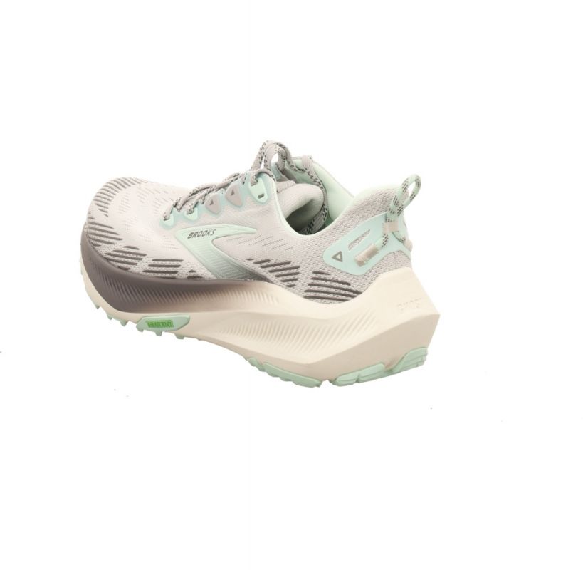 Brooks Ghost Trail Lady
