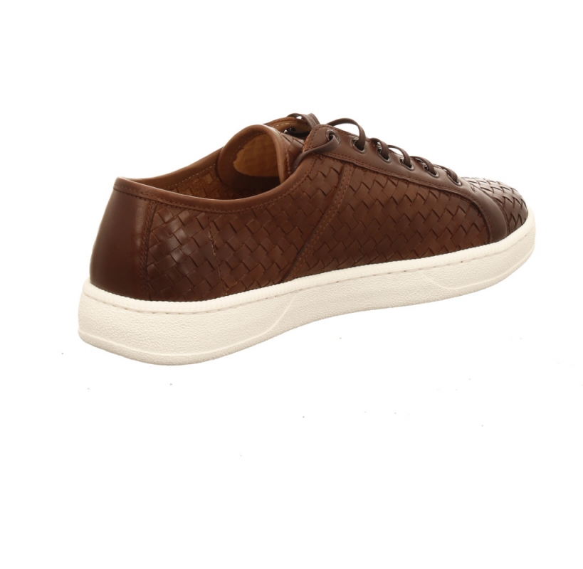 Franz Gustav Montreal