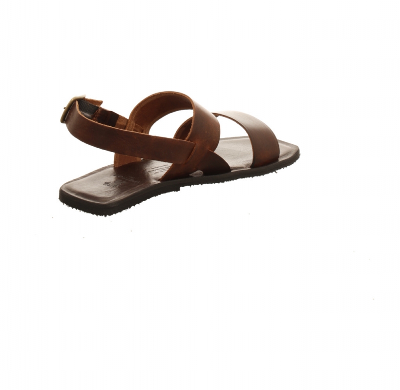 Werner Hortensie braun