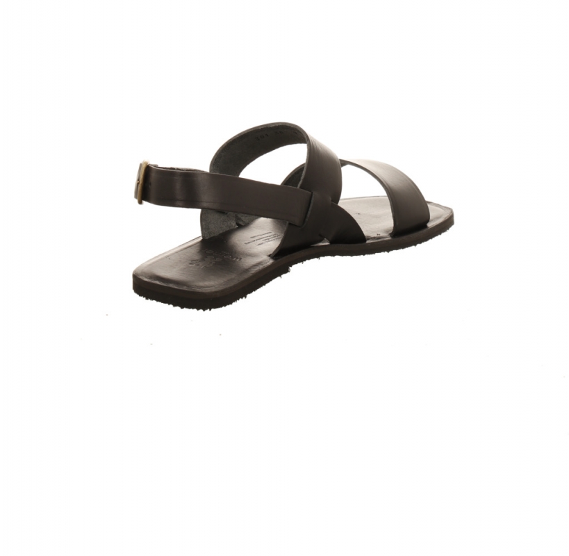 Werner Hortensie schwarz