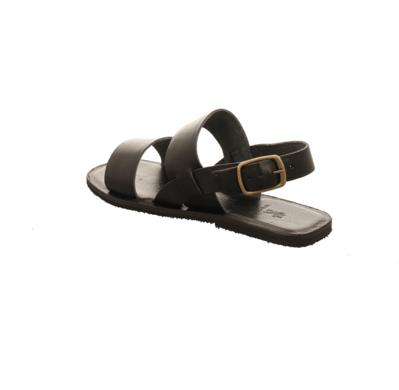 Werner Hortensie schwarz