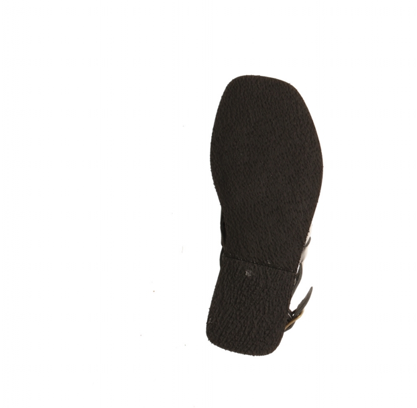 Werner Hortensie schwarz