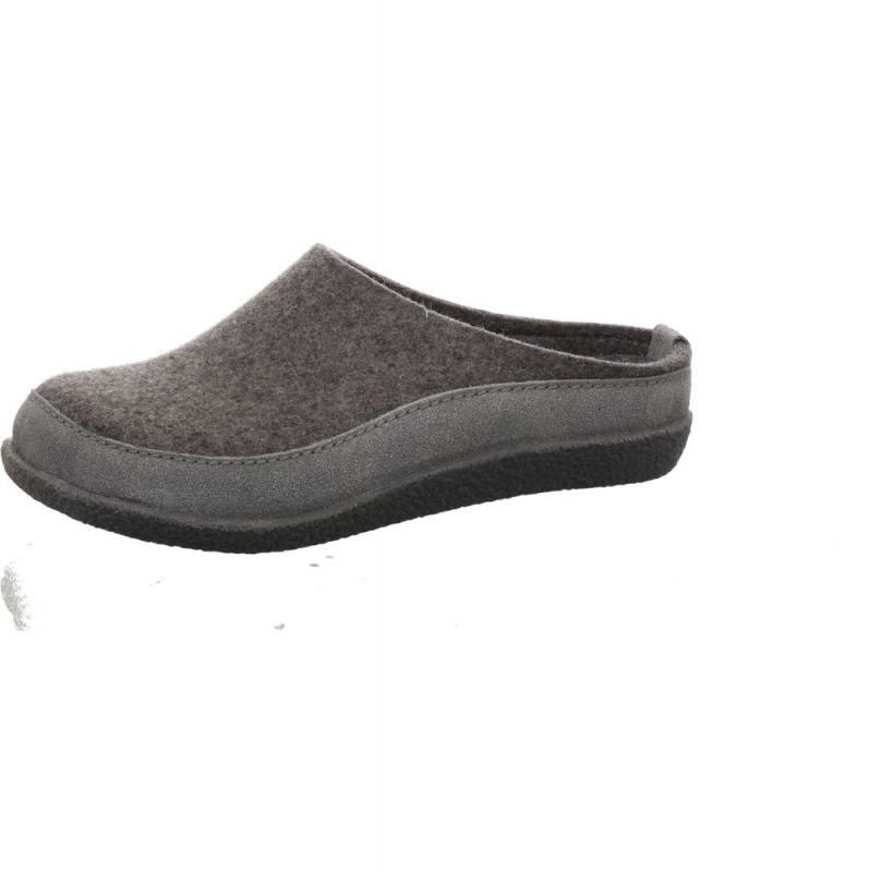 Haflinger Blizzard Skane anth.