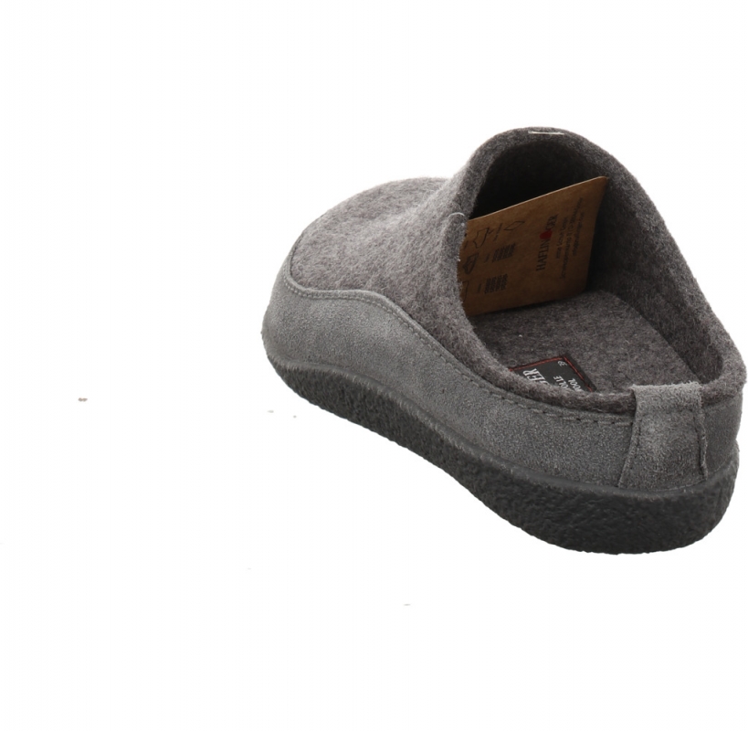 Haflinger Blizzard Skane anth.