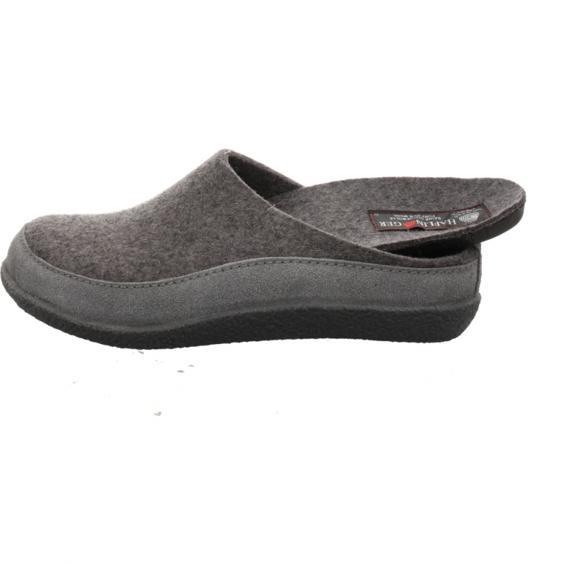 Haflinger Blizzard Skane anth.