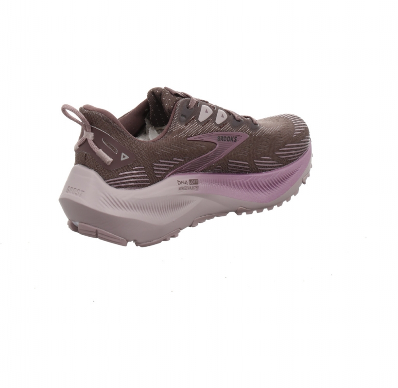 Brooks Ghost Trail Lady Raisin