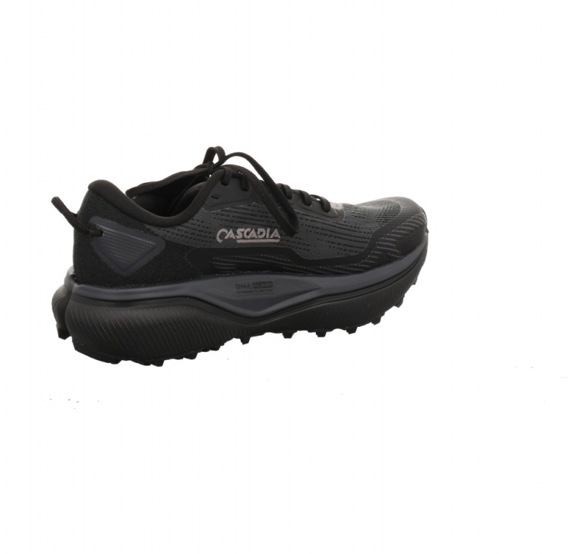 Brooks Cascadia 20 GTX Lady