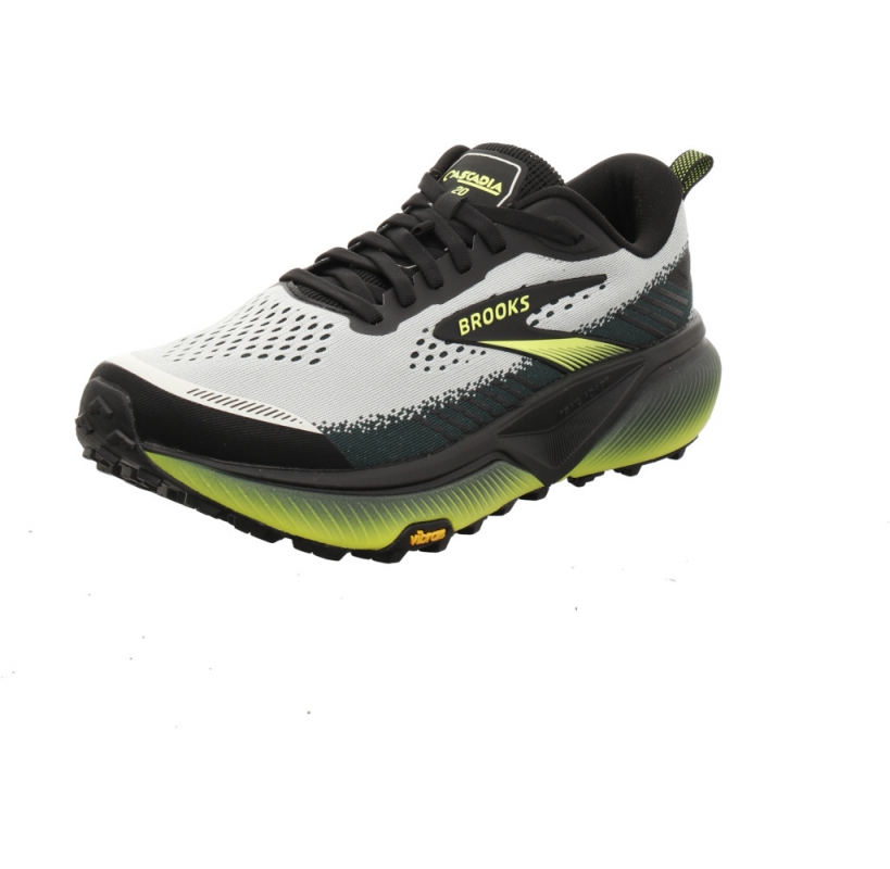 Brooks Cascadia 20