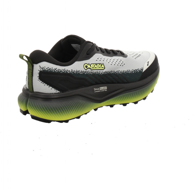 Brooks Cascadia 20