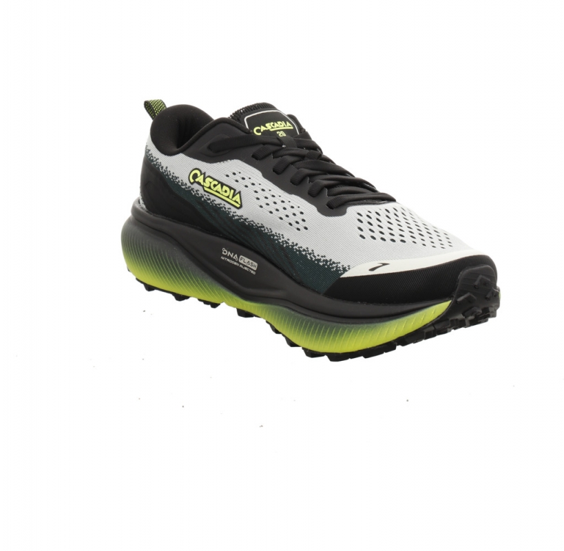 Brooks Cascadia 20