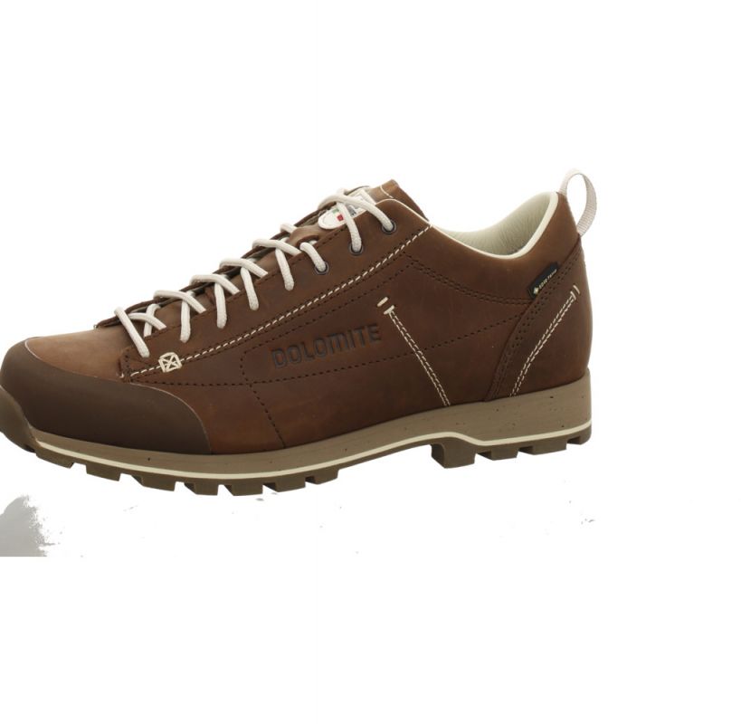 Dolomite 54 Low Fg EVO GTX Men d`braun
