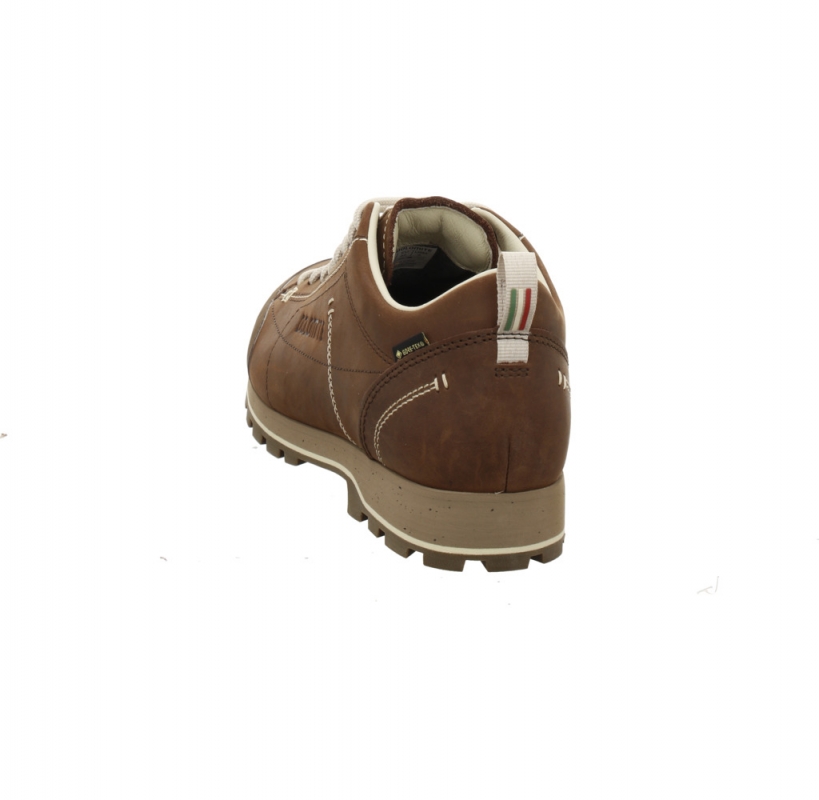 Dolomite 54 Low Fg EVO GTX Men d`braun